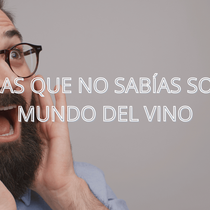 10 Cosas que No Sabías Sobre el Mundo del Vino (y que Te Sorprenderán)