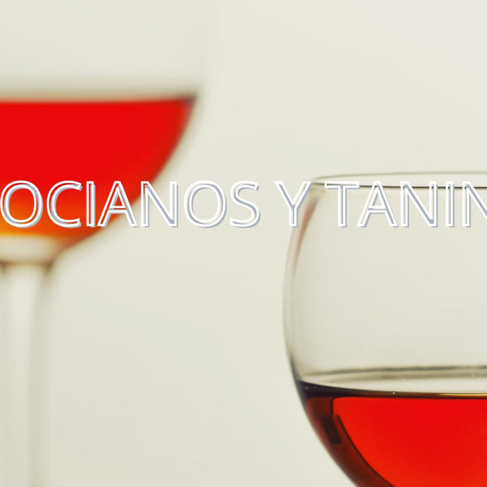 Antocianos y taninos: los pigmentos que dan color, estructura y vida al vino tinto