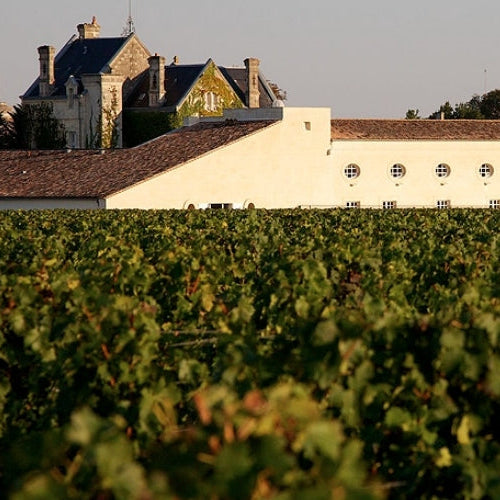 Château Mouton Rothschild - Enoterra Wine Market