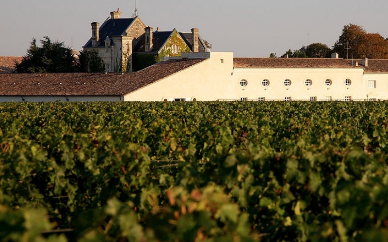 Château Mouton Rothschild - Enoterra Wine Market