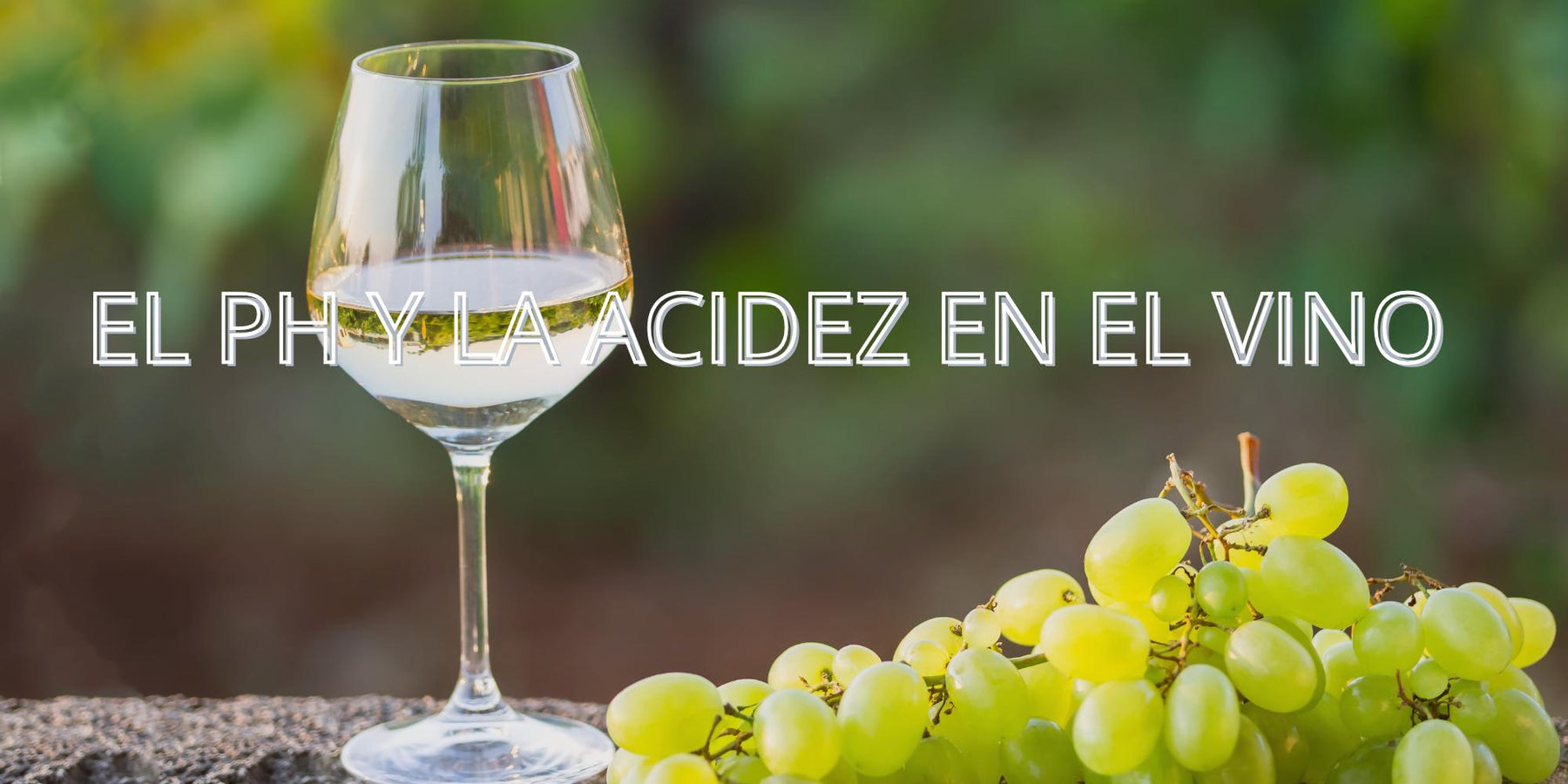 El pH y la acidez en el vino: la ciencia detrás de la frescura