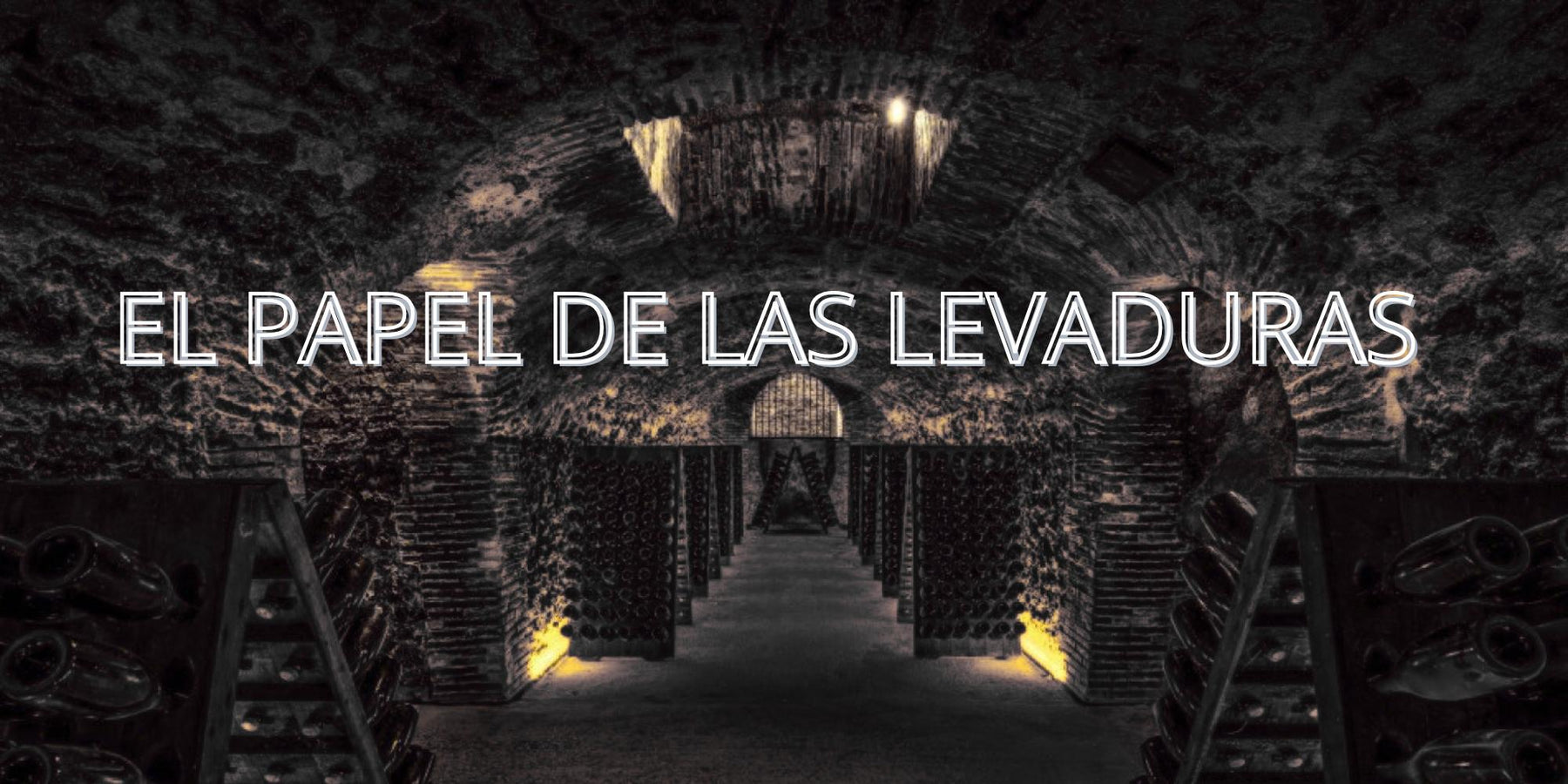 El papel de las levaduras: cómo transforman la uva en aromas y personalidad