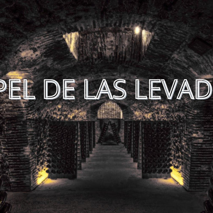 El papel de las levaduras: cómo transforman la uva en aromas y personalidad