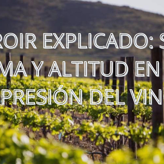 El terroir explicado: suelo, clima y altitud en la expresión del vino