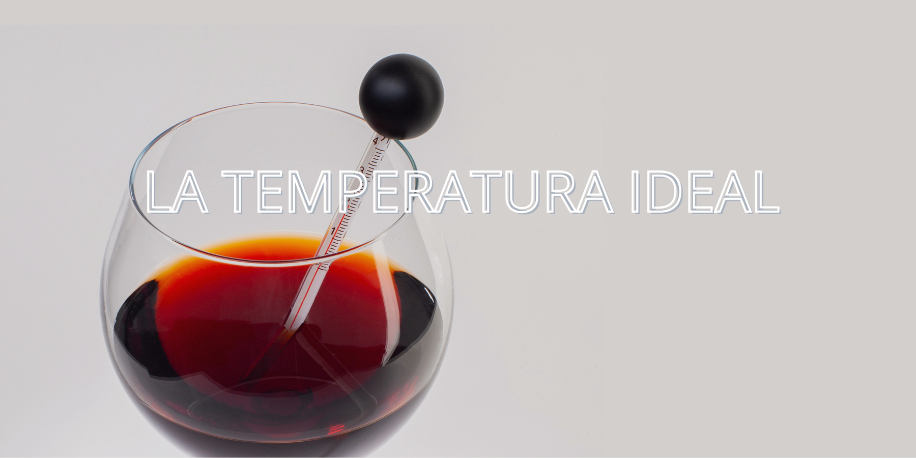 📌 La Temperatura Ideal para Disfrutar Cada Tipo de Vino