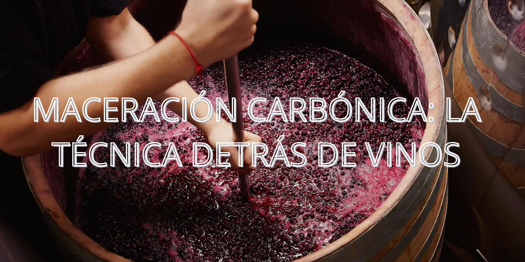 Maceración carbónica: la técnica detrás de vinos jóvenes, frutales y explosivos