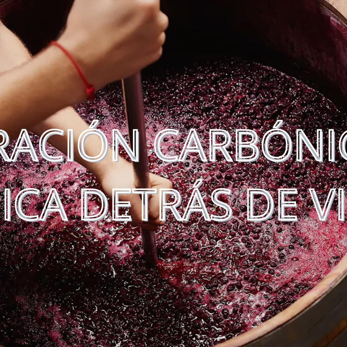 Maceración carbónica: la técnica detrás de vinos jóvenes, frutales y explosivos