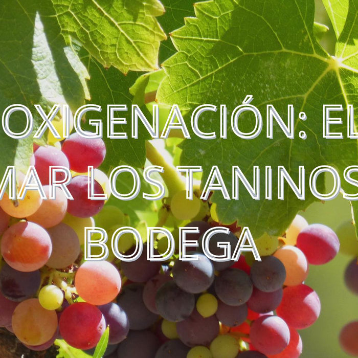 Microoxigenación: el arte de domar los taninos en la bodega