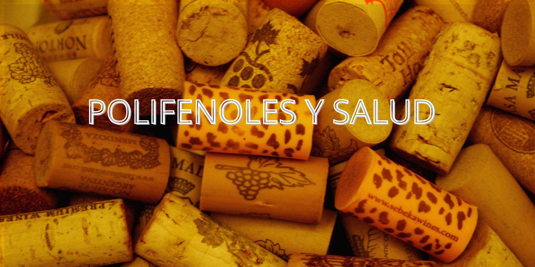 Polifenoles y salud: lo que la ciencia realmente dice sobre el vino tinto