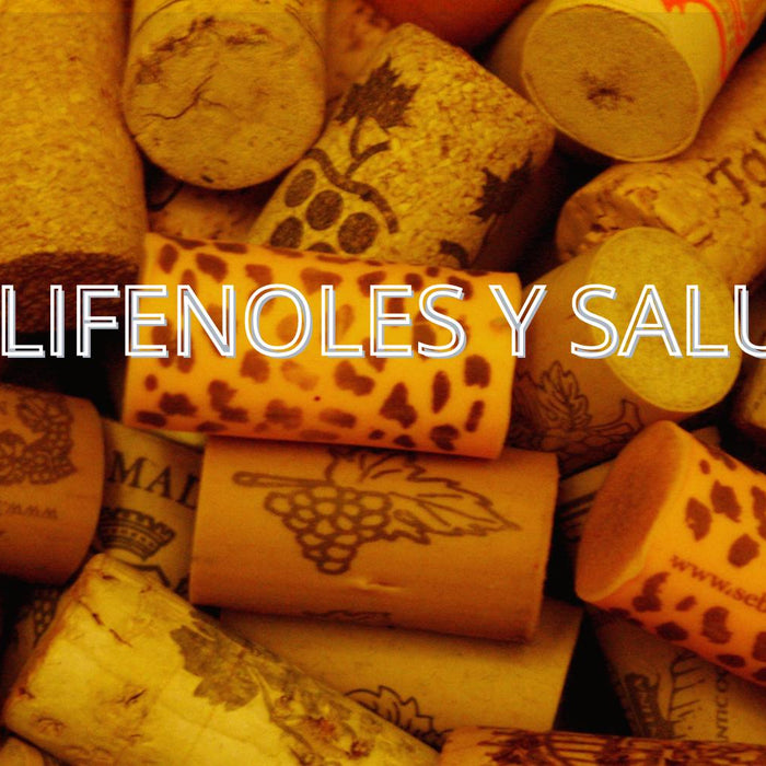 Polifenoles y salud: lo que la ciencia realmente dice sobre el vino tinto