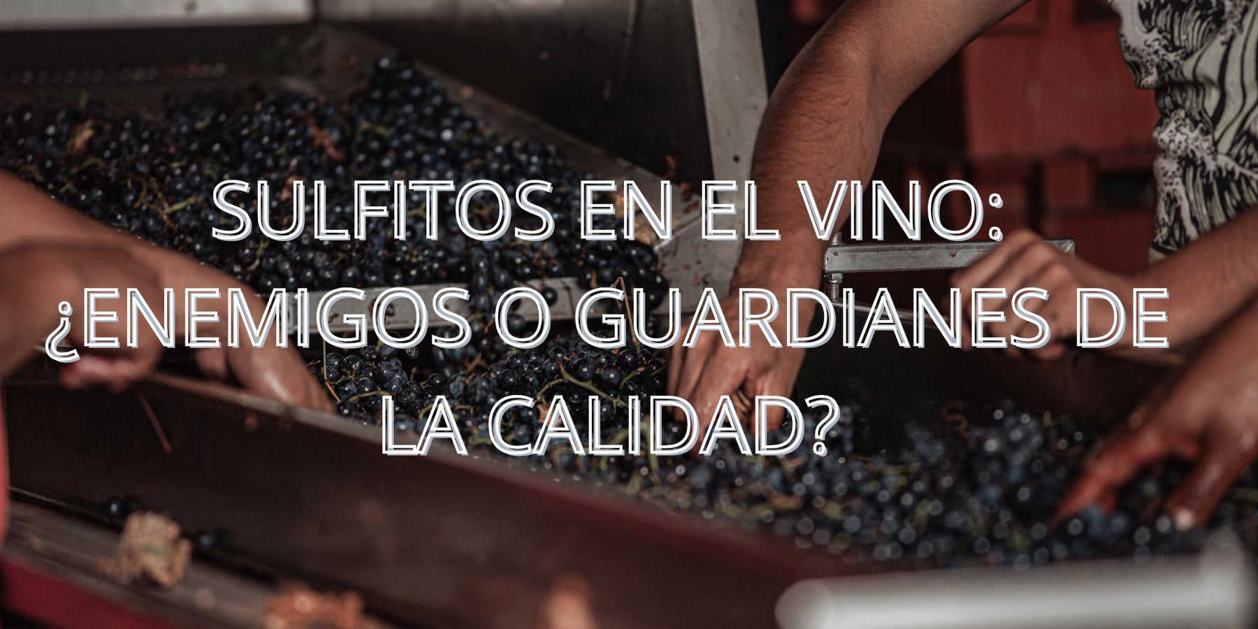 Sulfitos en el vino: ¿enemigos o guardianes de la calidad?