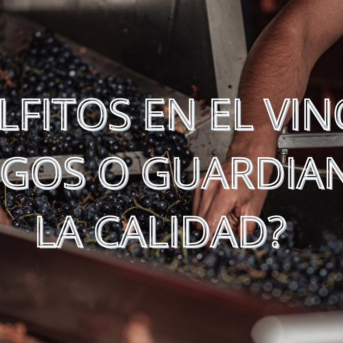 Sulfitos en el vino: ¿enemigos o guardianes de la calidad?