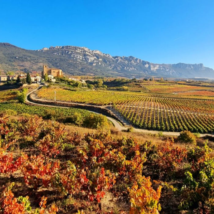Rioja española: cómo leer una etiqueta y elegir entre Izadi, Callejо y Vetus