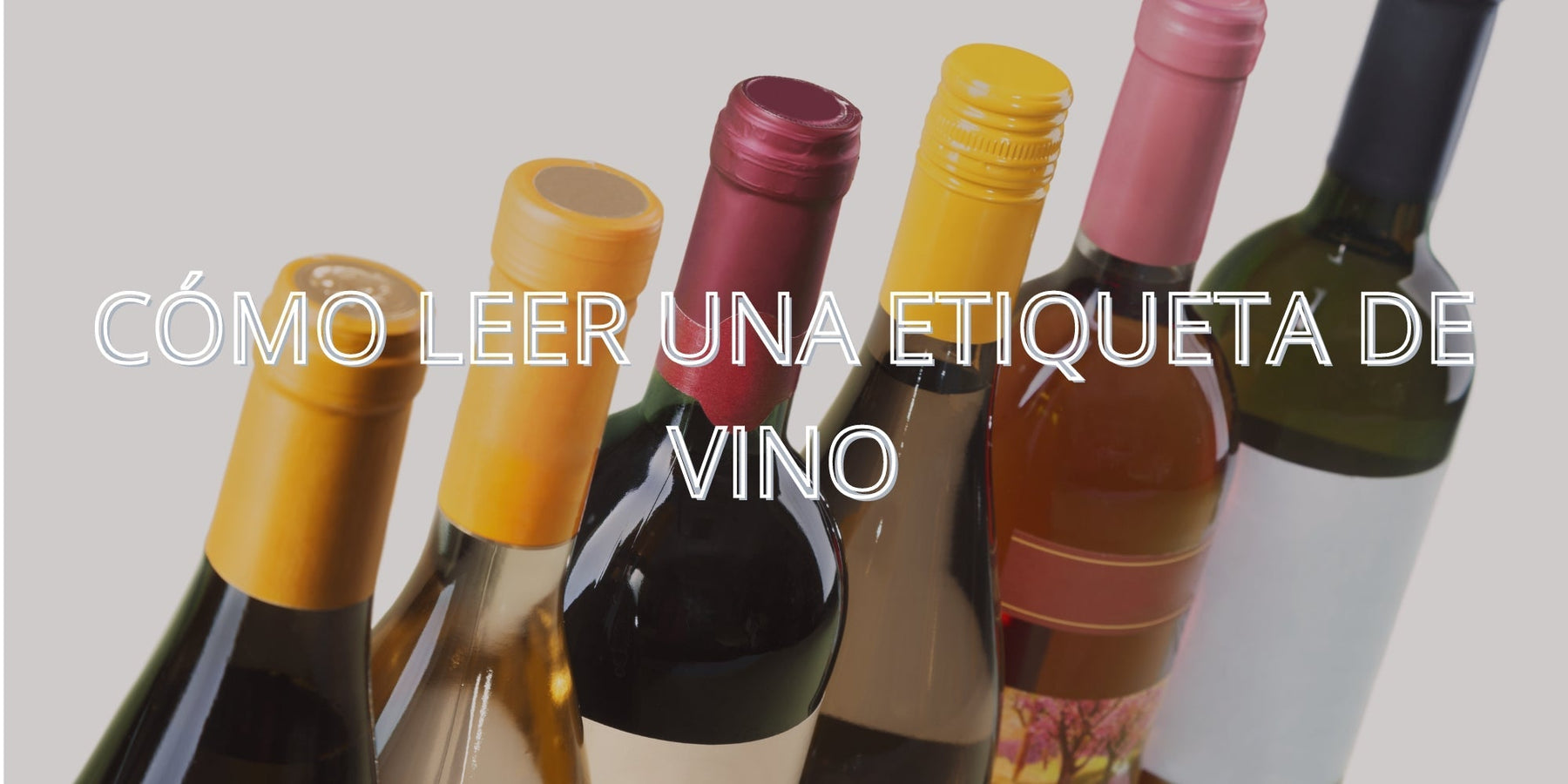 Cómo Leer una Etiqueta de Vino: Desglosando la Información Clave - Enoterra Wine Market