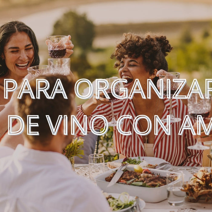 Descubre el Misterio en la Copa: Guía para Organizar una Cata de Vino a Ciegas con Amigos - Enoterra Wine Market