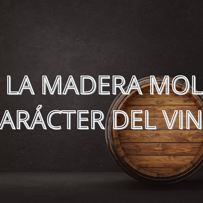 La Influencia de los Tonneliers: Cómo la Madera Moldea el Carácter del Vino - Enoterra Wine Market