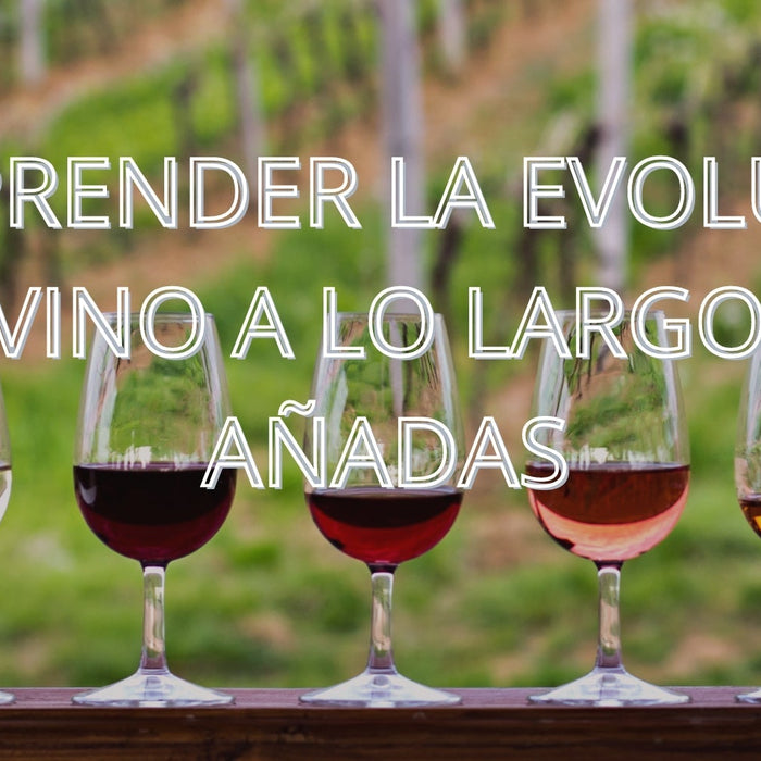 Verticales de Vino: Comprender la Evolución de un Vino a lo Largo de las Añadas - Enoterra Wine Market