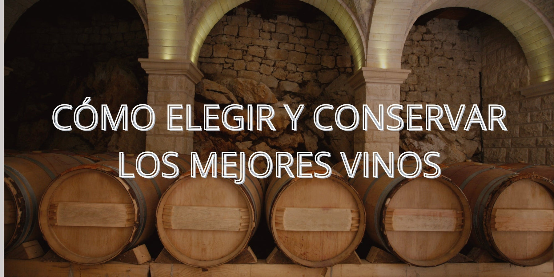Vinos de Guarda: Cómo Elegir y Conservar los Mejores Vinos - Enoterra Wine Market