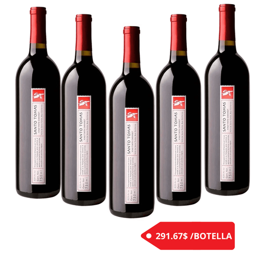 6 BOTELLAS SANTO TOMAS ST CABERNET SAUVIGNON 750 ml - Enoterra Wine Market