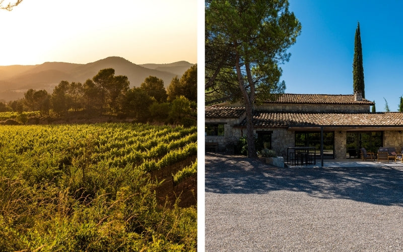 Celler Abadal: Autenticidad y Sabor de Pla de Bages