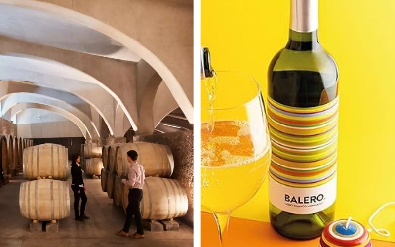 Balero: Innovación y Sabor en Vinos Argentinos