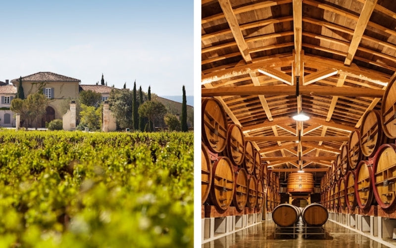 Château De Beaucastel: Excelencia en Châteauneuf-du-Pape