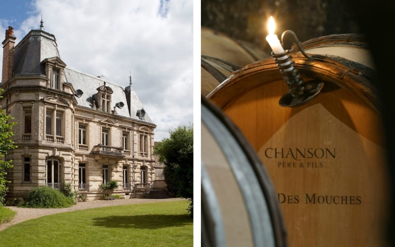 Domaine Chanson: Excelencia y Tradición en Borgoña