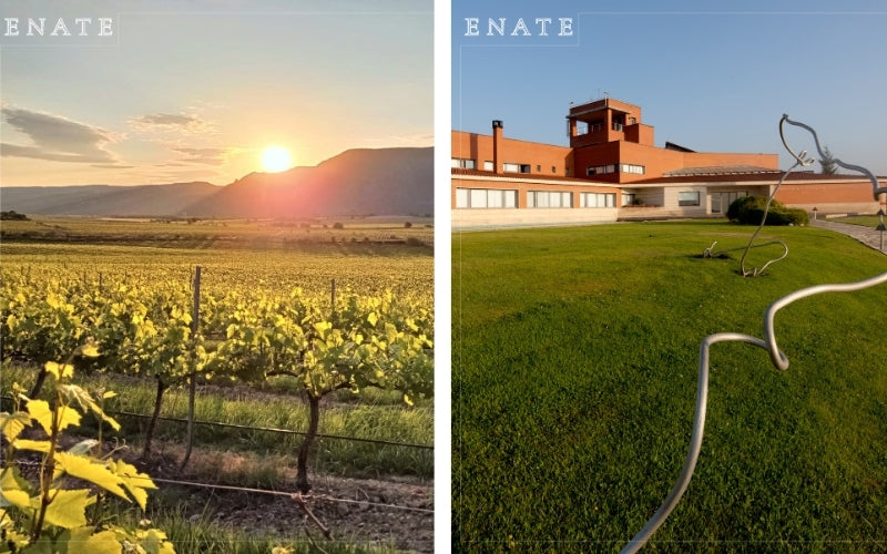 Enate: Arte y Vino en el Somontano