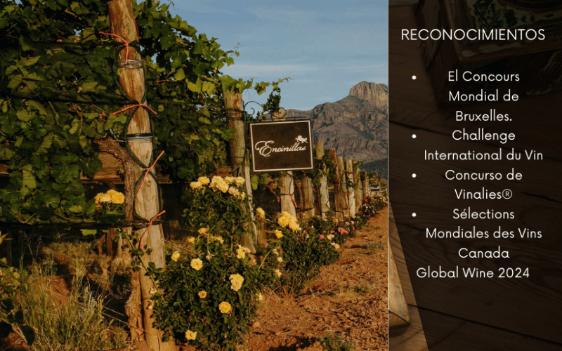 Encinillas: Vinos que cuentan historias