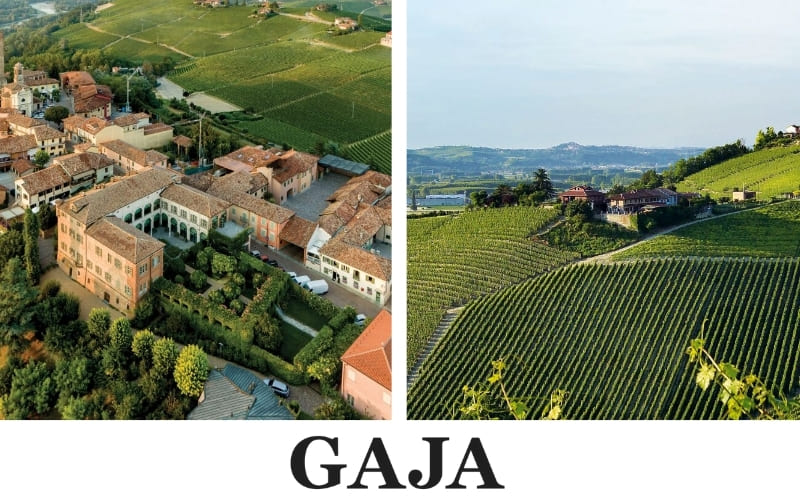 Gaja: Excelencia y Prestigio en el Piamonte