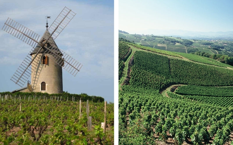 Georges Duboeuf: El Rey del Beaujolais