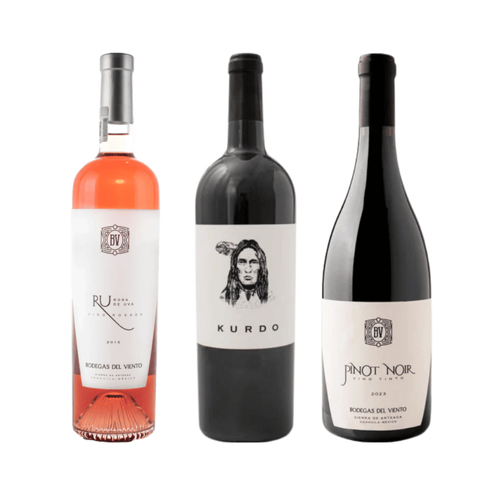 RUTA ARTEAGA – Selección Bodegas del Viento
