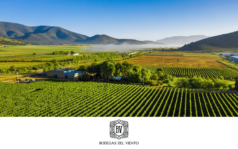 Bodegas del Viento: historia y Pinot Noir en Arteaga