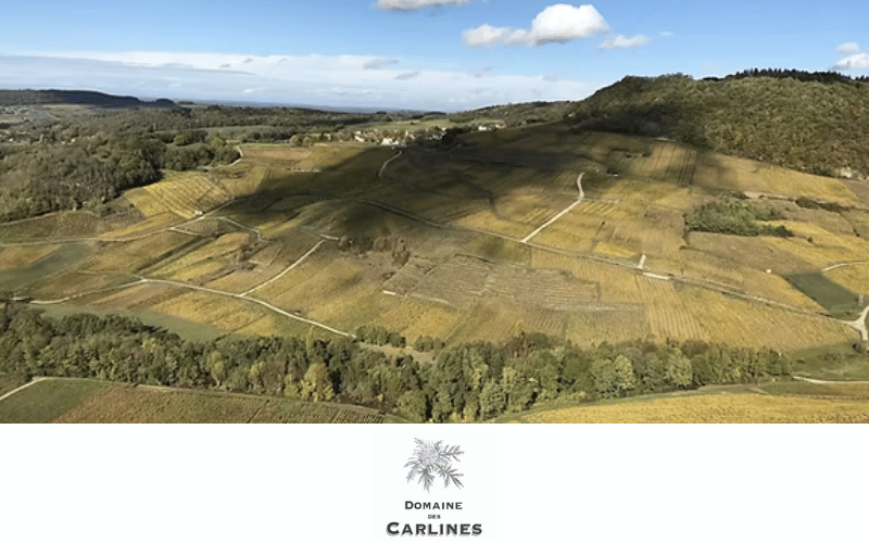 Innovación en el Jura