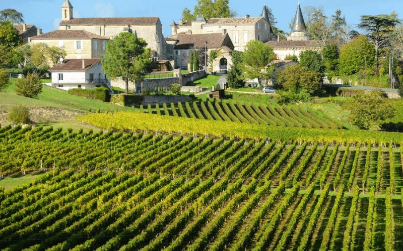 Historia y Excelencia en Chateau Leoville Las Cases