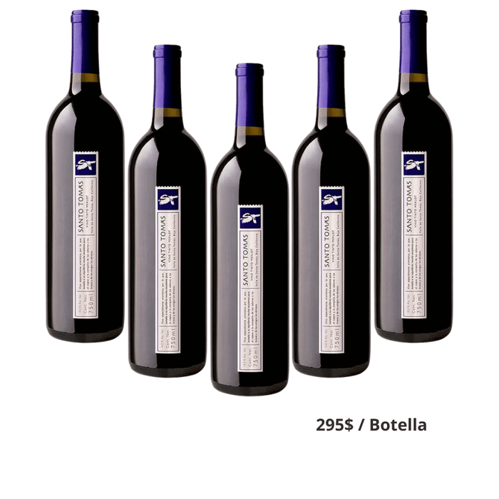 Santo Tomas St Merlot - Caja 6 botellas