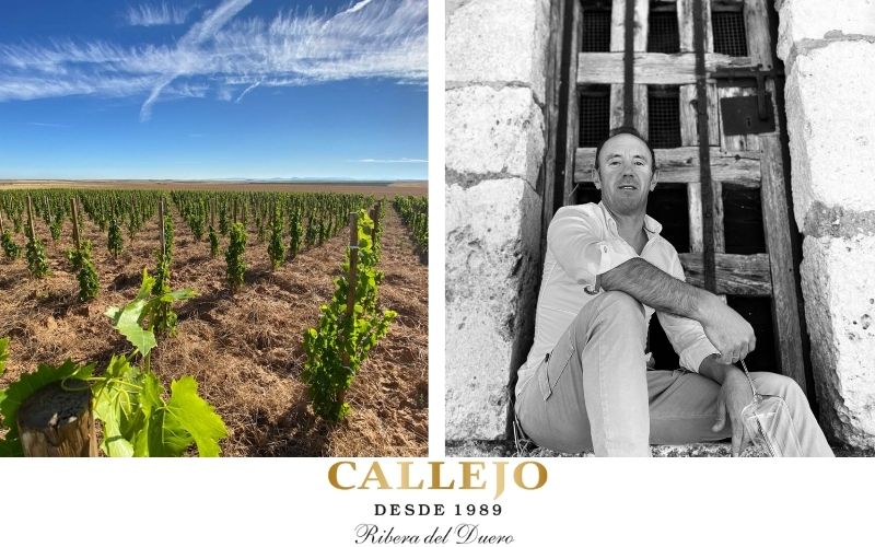 Callejo: Pasión y Sabor en Ribera del Duero