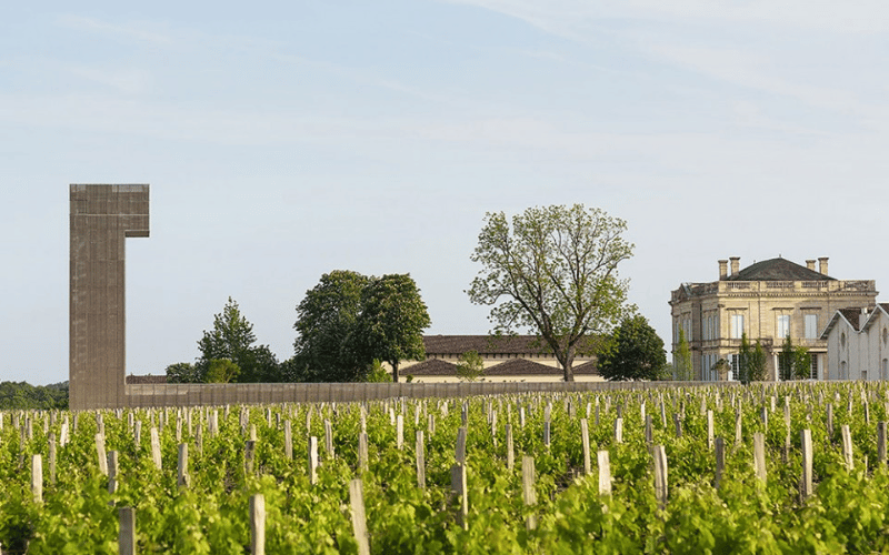 Chateau Gruaud Larose: Nobleza y Excelencia en Saint-Julien