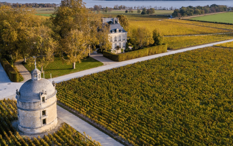 Fortaleza y Nobleza en Chateau Latour