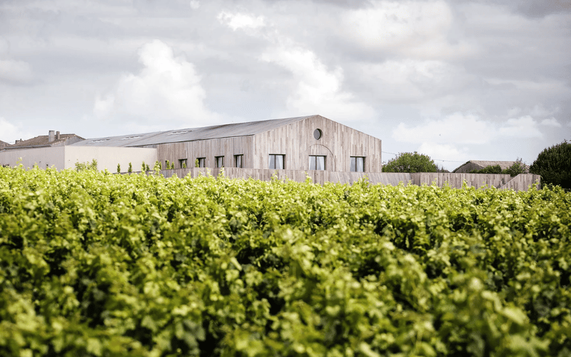 Chateau Clerc Milon: Elegancia y Profundidad en Pauillac