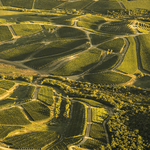 Garzon: La Esencia de Uruguay en Cada Copa