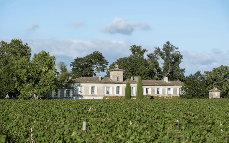 Chateau Gazin: Tradicion y Nobleza en Pomerol