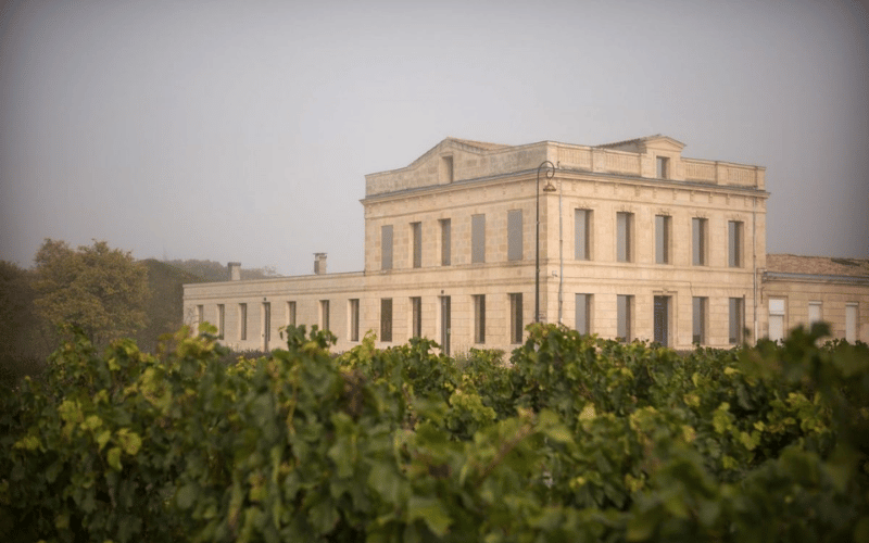 Innovacion y Pasion en Chateau Gloria