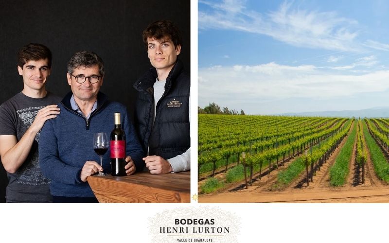 Bodegas Henri Lurton: Excelencia Bordelesa