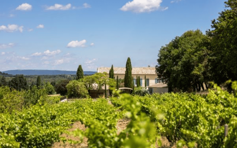 Les Alexandrins: Excelencia en los Vinos del Rodano