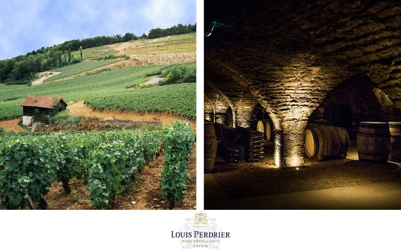 Louis Perdrier: Elegancia y Accesibilidad en el Mundo del Vino