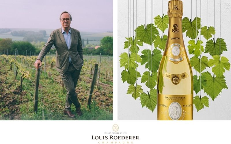 Louis Roederer: Excelencia en el Mundo del Champagne