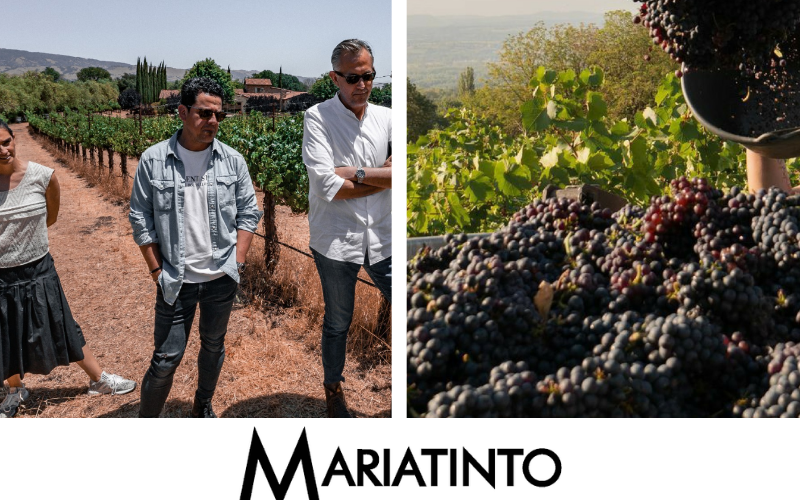 Mariatinto: Vinos con Alma Mexicana