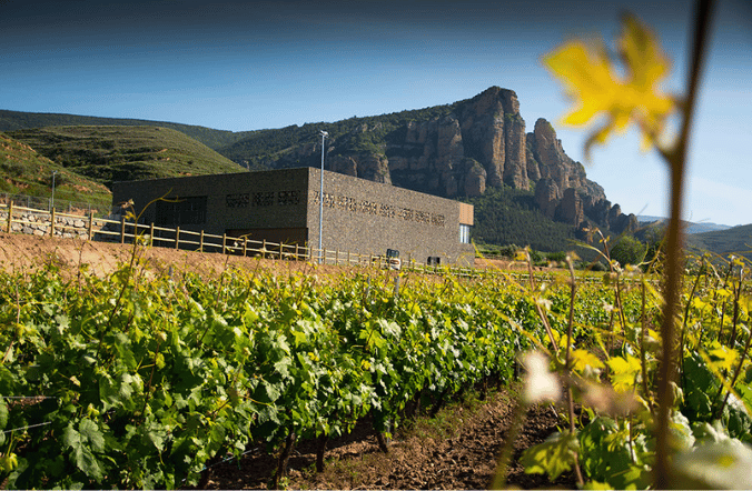 Nivarius: la casa del Tempranillo Blanco