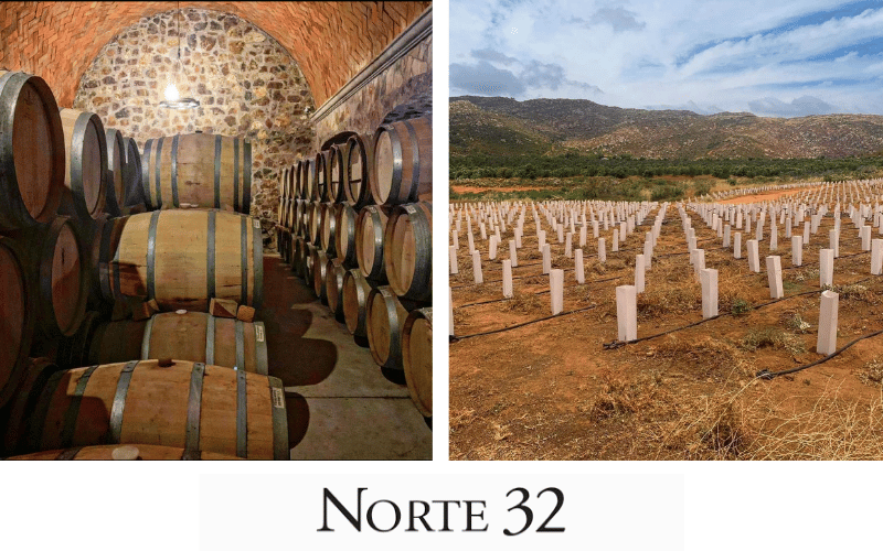 Norte 32: Pasión y Calidad en Baja California